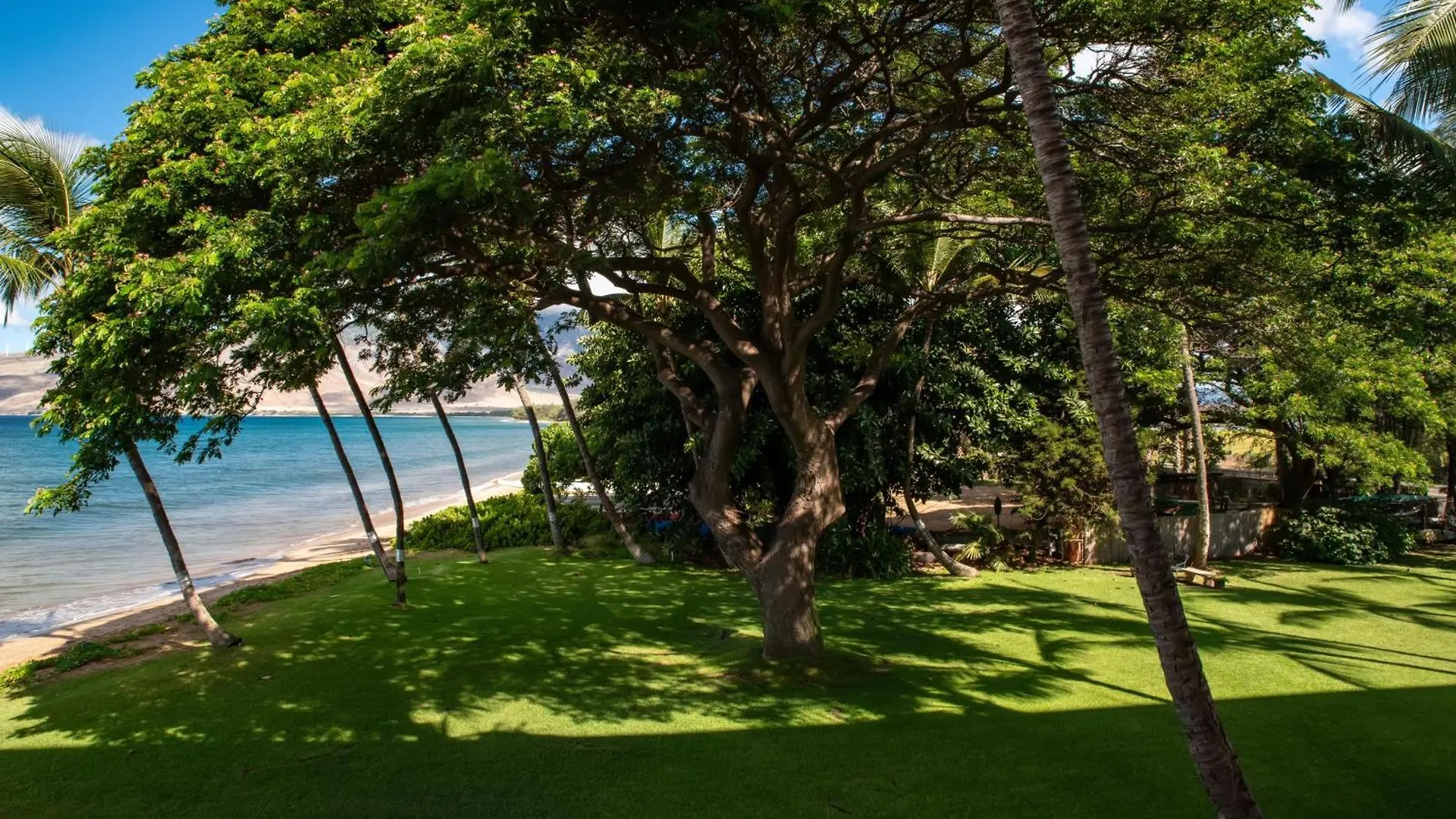 Kealia Resort 205 Kihei